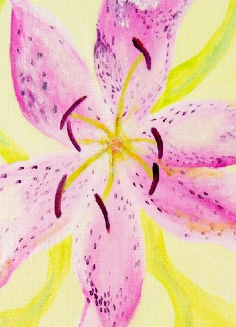 Tara Lynn Artwork | by Tara Meredith